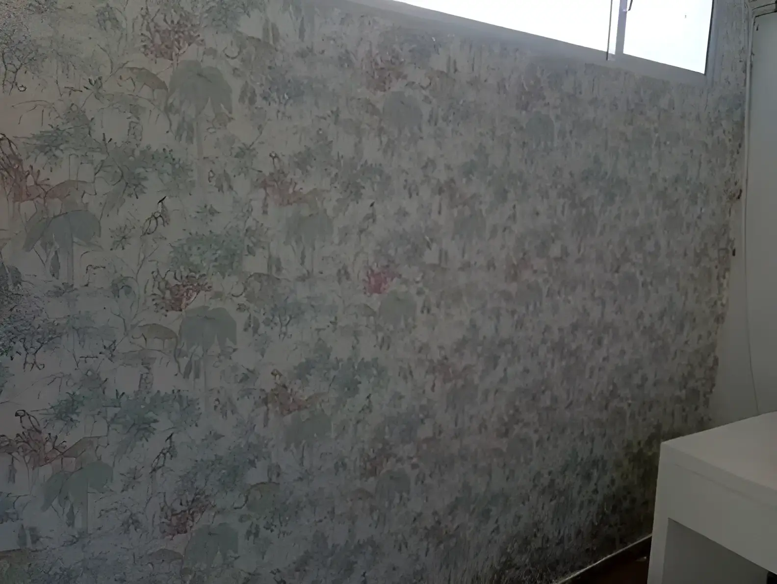 Los Pintores Salamanca colocando papel pintado decorativo en pared completa de habitación